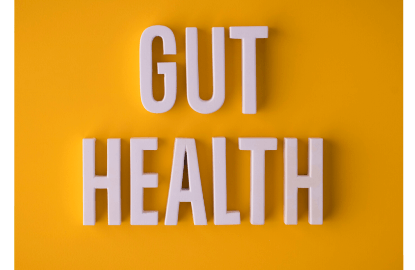 WHY GUT HEALTH IS IMPORTANT?